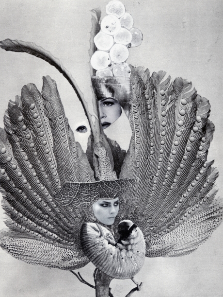 Zufällige Begegnung im Federkleid I; Rencontre fortuite dans la plumage I – Collage, analog ©2021